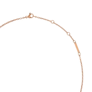 (พรีออเดอร์) Daniel Wellington สร้อยคอรุ่น Elevation Necklace สีเงิน 45-49cm