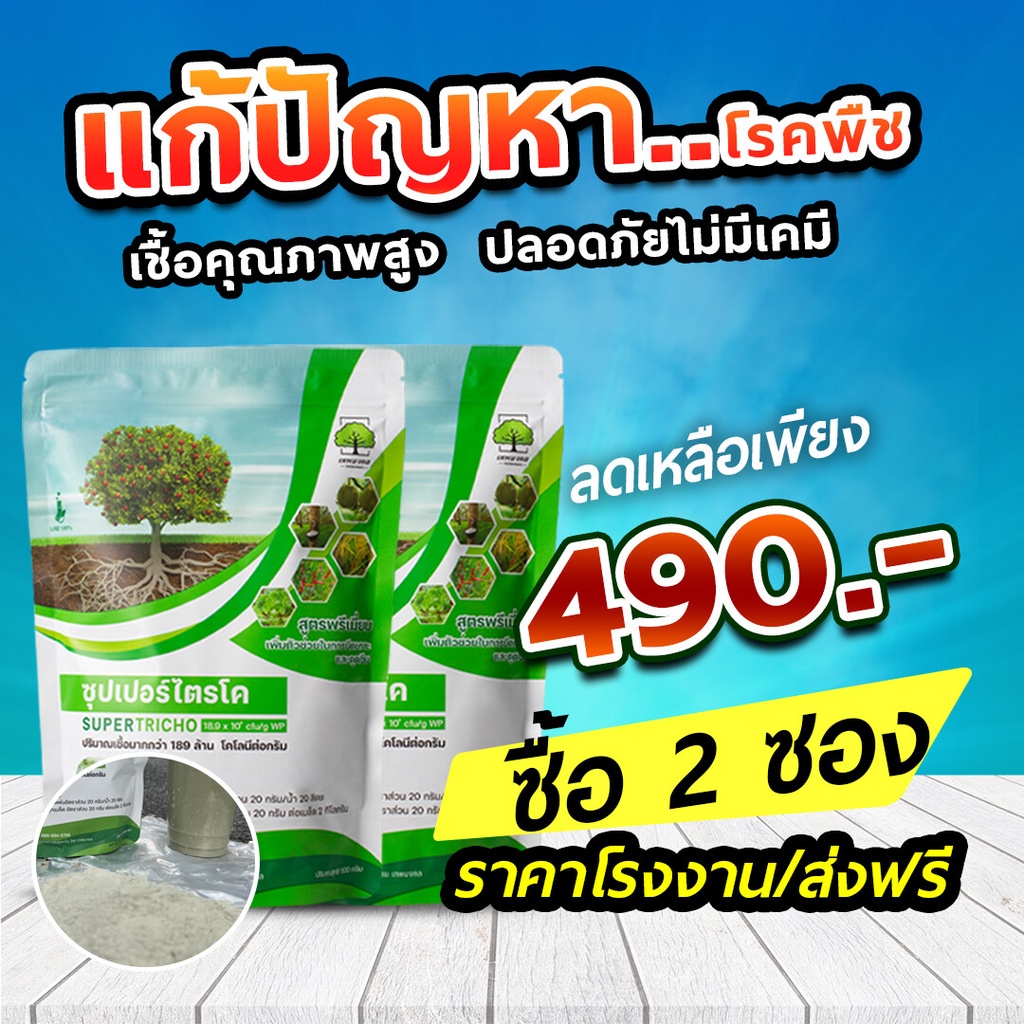 ซุปเปอร์ไตรโค ( ไตรโคเดอร์มา)แบบผง 1,000กรัม เพาะเชื้อจากห้อง LAB พร้อมใช้ ปลอดภัย 100 % 2 ซอง