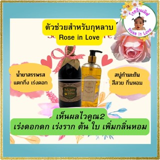 ปุ๋ยกุหลาบ ปุ๋ยน้ำ 1,000 ml สบู่เหลวกำมะถัน 500 ml บำรุงต้น ดอกดก มีกลิ่นหอม ราก ใบ เพลี้ย รา ใช้ได้ไม้ดอก ไม้ประดับ