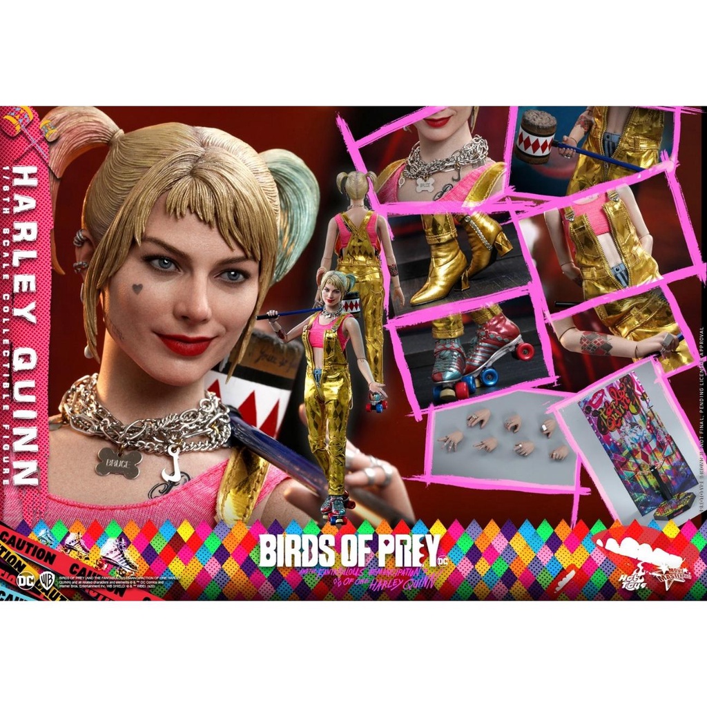 HOTTOYS HT 1/6 MMS565 Harley Quinn Raptor Squad