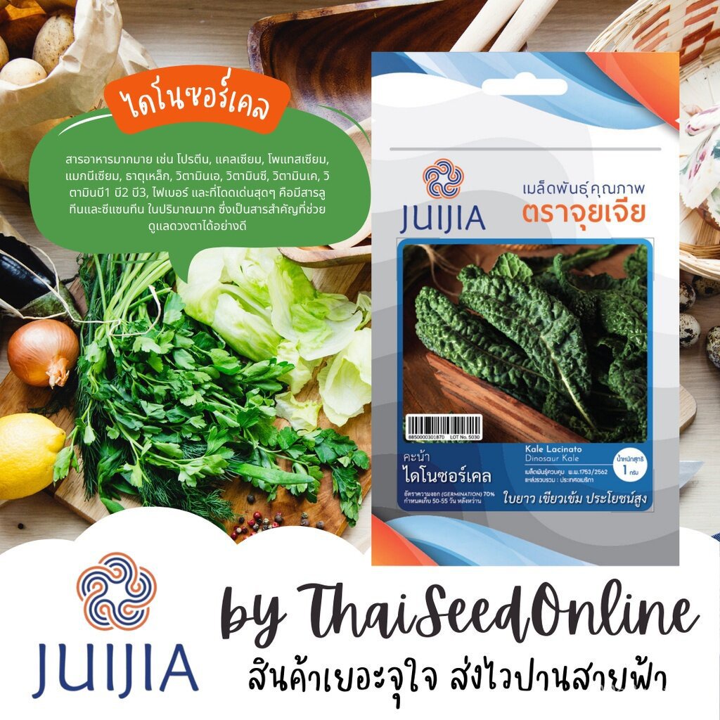 JJ เมล็ดพันธุ์ จุยเจีย ไดโนซอร์เคล คะน้าไดโนเสาร์ เคล ไดโนเสาร์ คะน้า Kale LNOU