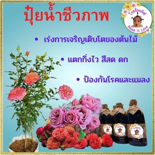 ปุ๋ยน้ำ ปุ๋ยกุหลาบ 500 ml บำรุงต้น ดอก ใบและรากให้เดินดี ใช้ได้ทั้งไม้ดอก ไม้ประดับประกอบด้วยธาตุหลักและธาติรอง