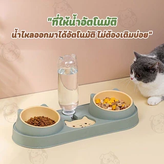 ชามอาหารรูปแมว ชาม3IN1 ถ้วยอาหารสัตว์เลี้ยง 2 หลุม ถ้วยอาหารแมว ชามอาหารสุนัข MLL