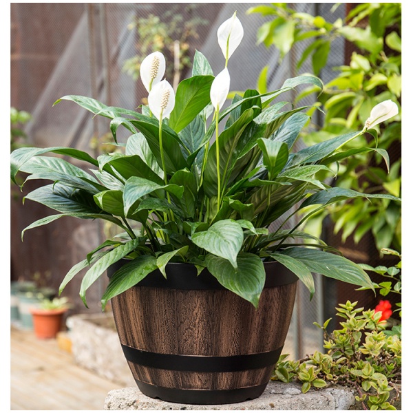 GlobalHouse Tree O กระถางต้นไม้ 16นิ้ว รุ่น AM003 ขนาด 40.6*30ซม. สีไม้  สินค้าของแท้คุณภาพดี - รูปที่ 4