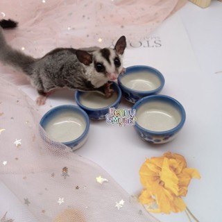 ถ้วยนมจิ๋ว สำหรับ ชูการ์ไกรเดอร์ ชูก้า sugarglider 🐿️