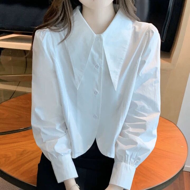 เสื้อเชิ้ตแขนยาว คอแหลม ตัวสั้น แฟชั่นฤดูใบไม้ร่วง สําหรับผู้หญิง