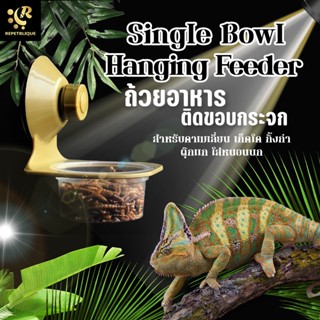 NOMOY PET Single Bowl Hanging Feeder Reptile ถ้วยอาหารสัตว์เลื้อยคลาน จุ๊บยางติดขอบตู้ ถาดอาหารสำหรับกิ้งก่า คาเมเลีย...