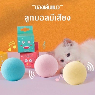 ของเล่นแมว ลูกบอลแมว ลูกบอลมีเสียงสำหรับสัตว์เลี้ยง กัญชาแมว