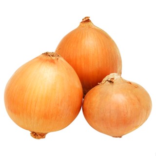 กก.ละONION  หอมหัวใหญ่ KG.