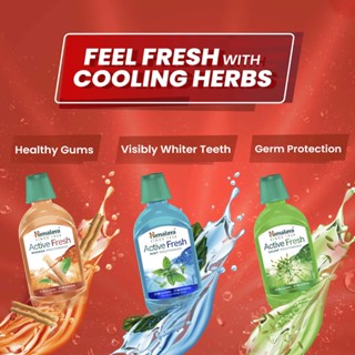 น้ำยาบ้วนปาก ไม่แสบร้อน ไม่มีแอลกอฮอล์ ส่วนผสมธรรมชาติ Himalaya Active Fresh Mouthwash