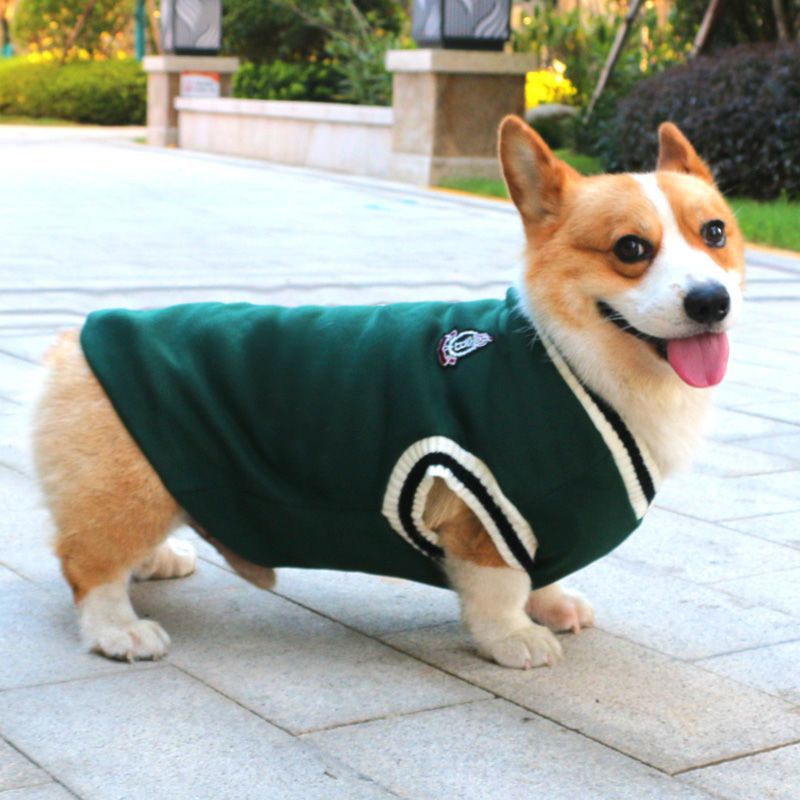 รูปภาพ 5