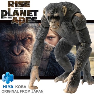 งานแท้ Original Hiya Toys Rise of the Planet of the Apes กำเนิดพิภพวานร Koba โคบา ลิงโหด 20th Century Fox ฟิกม่า Figma