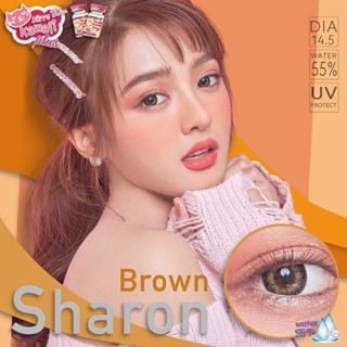 KittyKawaii Sharon Eff.14.5 Brown มินิ