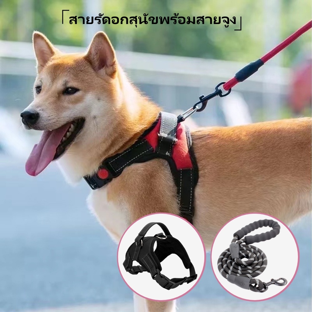 【2 PCS】 สายจูงสุนัข ยาว 1.5 เมตร สายจูงขนาดใหญ่ เหมาะสำหรับสุนัขตัวใหญ่และตัวเล็ก