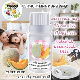 ขวดหยดน้ำมันหอมระเหย 10 ml กลิ่น CANTALOUPE