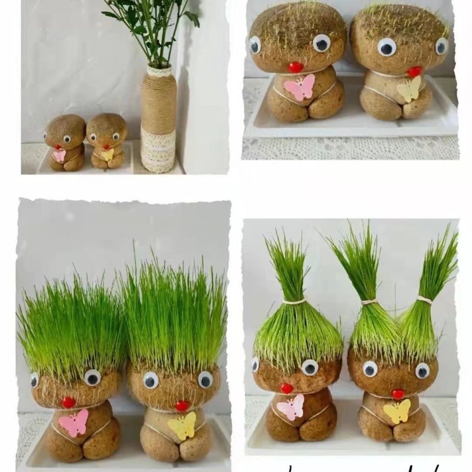 รูปภาพ 7