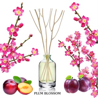 ก้านไม้หอมปรับอากาศขนาดมินิ 15ml PLUM BLOSSOM ดอกและผลพลัม