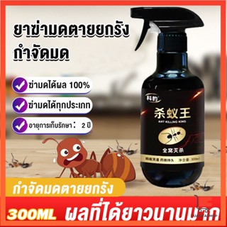 สเปย์กำจัดมด ยากำจัดมดภายในบ้าน กำจัดแมลง มดยาฆ่าแมลง Pest Control