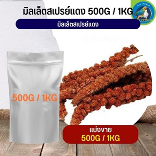 มิลเลตสเปรย์แดง (พวง) ช่อมิลเล็ตสเปรย์แดง (แบ่งขาย 500G / 1KG)