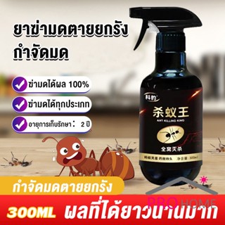 ProHome สเปย์กำจัดมด ตายยกรัง ยากำจัดมดภายในบ้าน กำจัดแมลง  Pest Control