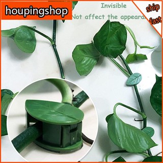 [houpingshop] คลิปตะขอหวาย มีกาวในตัว ซ่อนได้ สําหรับแขวนต้นไม้ 10 ชิ้น