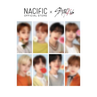 ของแถม Free gift NACIFIC Stray Kids X Photo Card Blooming 2 ใบ (สุ่ม)