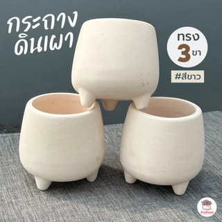 กระถางดินเบา #สีขาว กระถางต้นไม้ แคคตัส กระบองเพชร ไม้อวบน้ำ Cactus&Succulent