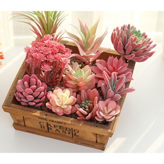 Succulents flocking เครื่องประดับตกแต่ง สีแดง