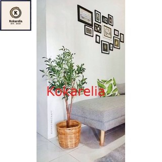 POHON ARTIFISIAL OLIVE TREE DAN ECALYPTUS TREE