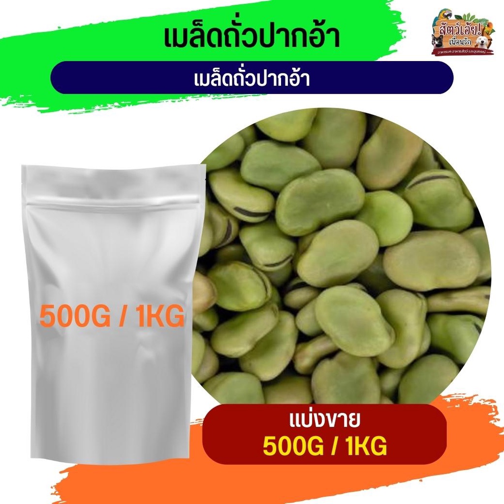 Broad beans เมล็ดถั่วปากอ้า อาหารนกและสัตว์ฟันแทะ (แบ่งขาย 500G / 1KG)