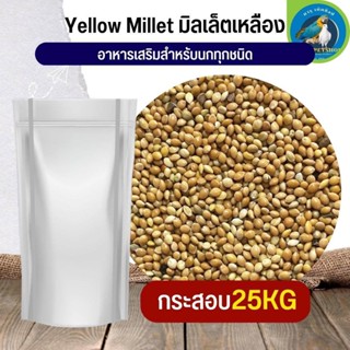 สุดยอด Yellow Millet มิลเล็ตเหลือง อาหารนก กระต่าย หนู กระต่าย กระรอก ชูก้า และสัตว์ฟันแทะ (กระสอบ 25KG)