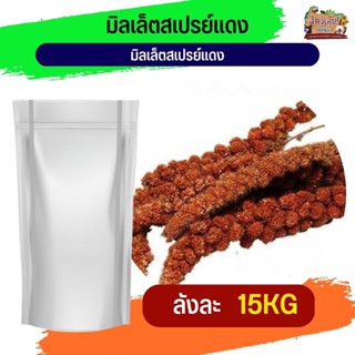 Red Millet Spray มิลเล็ต สเปรย์แดง อาหารนกและสัตว์ฟันแทะ (ลัง 15KG)