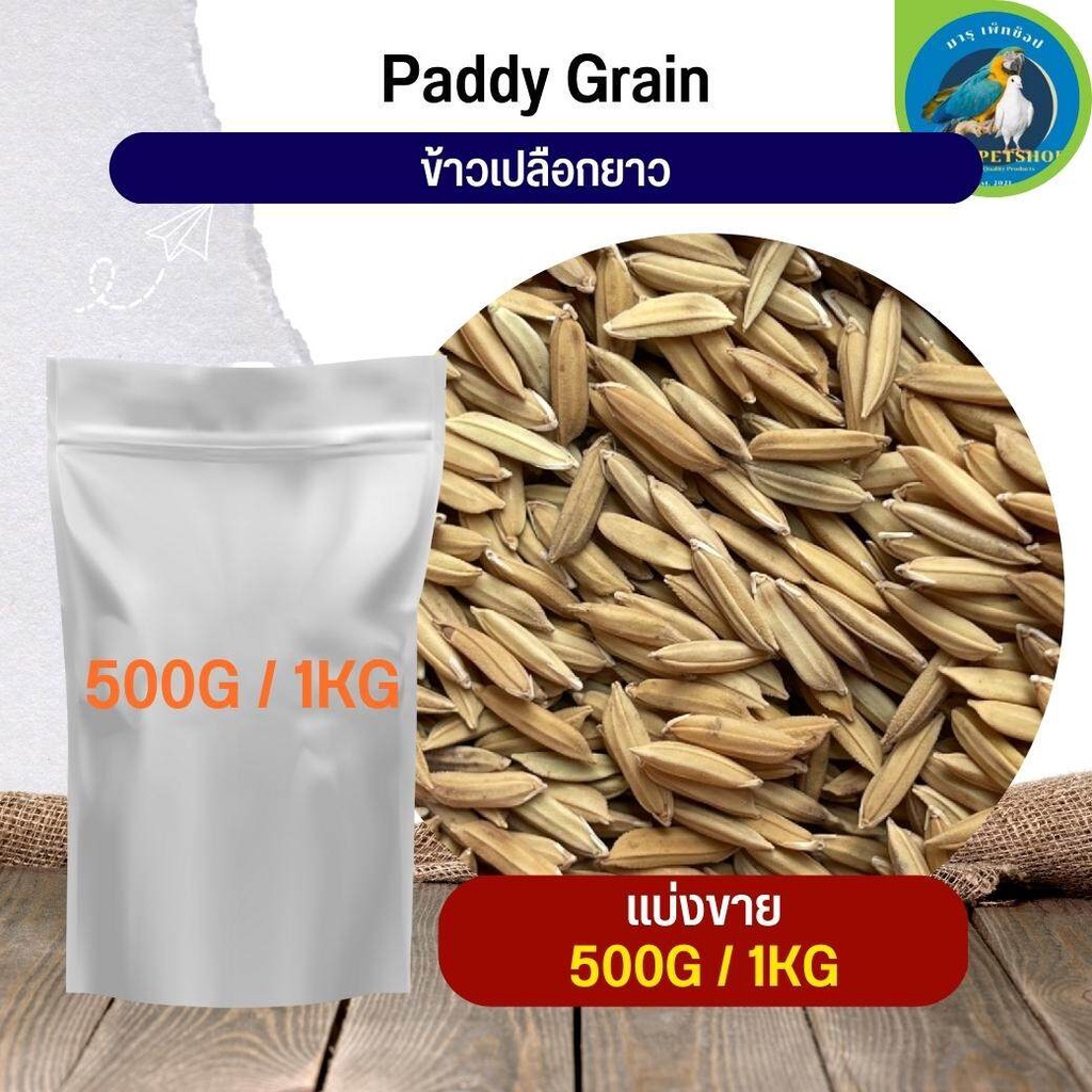 สุดยอด ข้าวเปลือกยาว Paddy rice อาหารนก กระต่าย หนู กระต่าย กระรอก ชูก้า และสัตว์ฟันแทะ (แบ่งขาย 500G / 1KG)