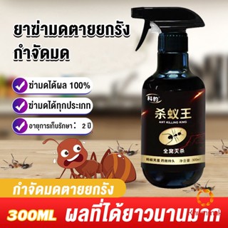 Khummak สเปย์กำจัดมด ตายยกรัง ยากำจัดมดภายในบ้าน กำจัดแมลง  Pest Control