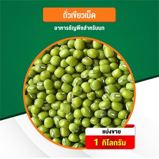 ถั่วเขียวเม็ด ธัญพืชสำหรับนกทุกชนิด อาหารนก อาหารสัตว์ (แบ่งขาย 500G / 1KG)