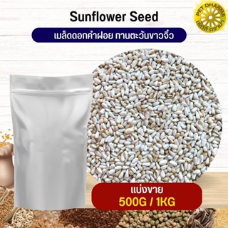 ทานตะวันขาวจิ๋ว ดอกคำฝอย SaffSunFlower อาหารนก กระต่าย หนู กระต่าย กระรอก ชูก้า และสัตว์ฟันแทะ (แบ่งขาย 500G / 1KG)