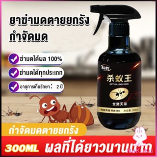 NKK สเปย์กำจัดมด ยากำจัดมดภายในบ้าน กำจัดแมลง  Pest Control