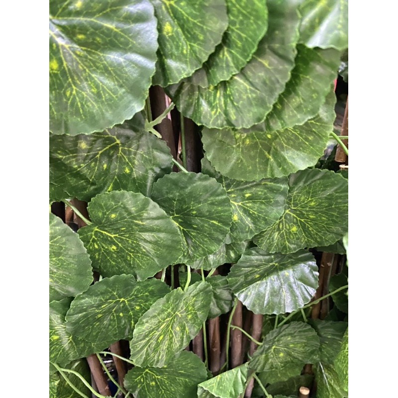 [ถูกที่สุด] รั้วระแน