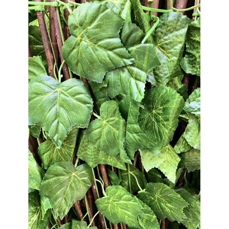 [ถูกที่สุด] รั้วระแน