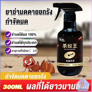 สเปย์กำจัดมด ยากำจัดมดภายในบ้าน กำจัดแมลง  Pest Control