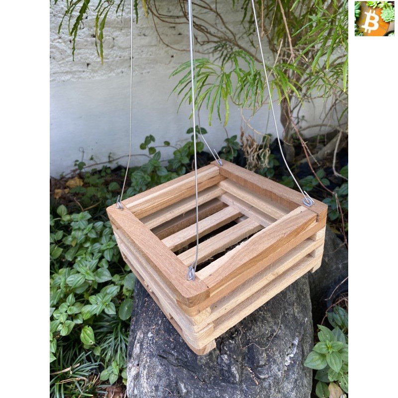 Bitcoin กระถางต้นไม้แบบแขวน ทรงสี่เหลี่ยม ขนาดต่างๆ พร้อมลวดแขวน 4แฉก 1 ชุด