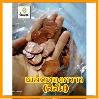 เมล็ดทองกวาว หรือดอกจาน​