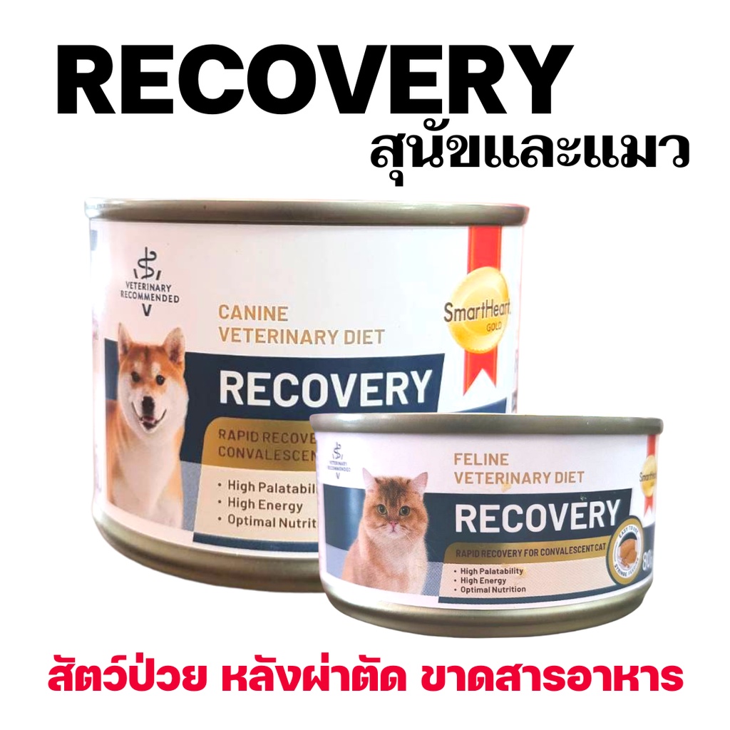 [1กระป๋อง] Smartheart Recovery อาหารเปียก สำหรับสุนัขและ แมวป่วยระยะพักฟื้น (Royal canin Recovery)