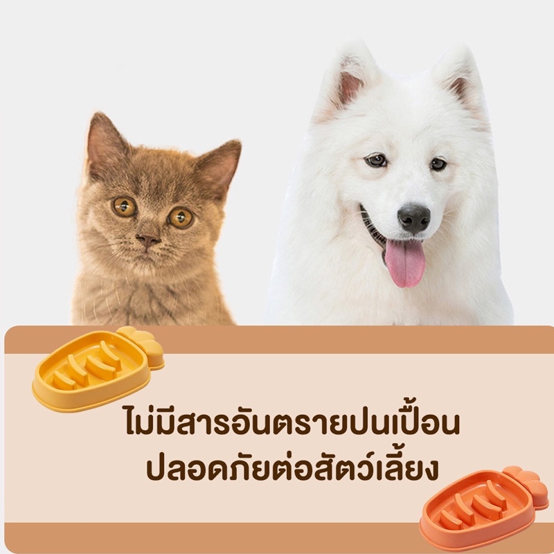  COD  ชามอาหารสัตว์เลี้ยง ชามช่วยลดการสำลัก สุนัขและแมว