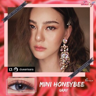 🔥 คอนแทคเลนส์ ✨ขนาดมินิ ✨Gray✨Mini Honey bee (Luxzylens)