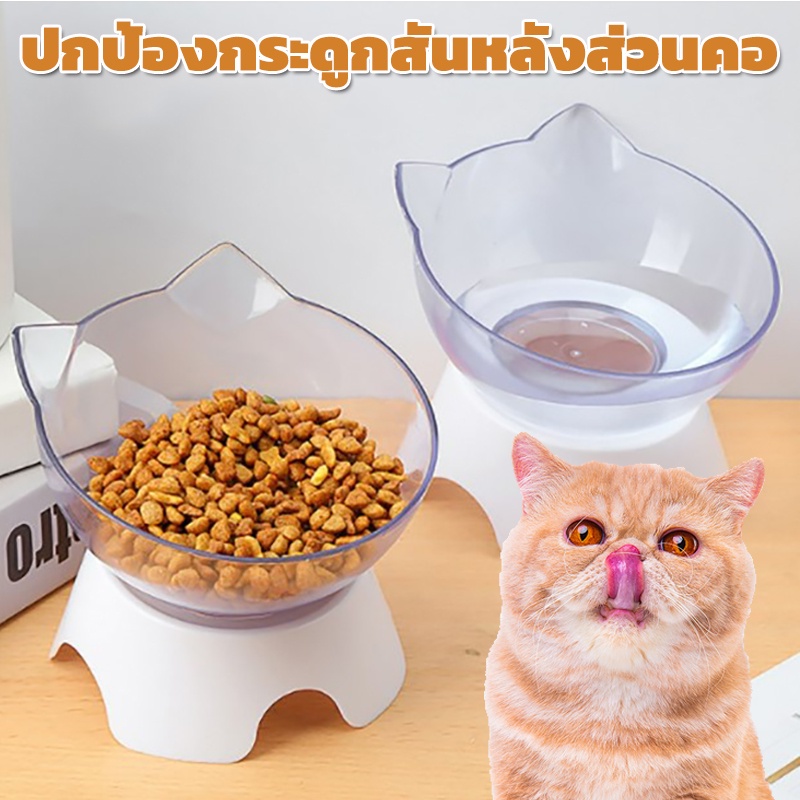พร้อมส่ง ชามให้อาหารแมว ชามให้อาหารสุนัข ชามใส่อาหารสำหรับสัตว์เลี้ยง เอียง 15 องศา ปกป้องกระดูกสันหลังส่วนคอ