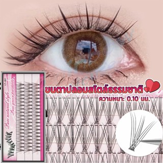 Rainbow House ขนตาปลอมแบบธรรมชาติ /8/10/11/12/14 มม. ต่อขนตาแต่ละช่อ False Eyelashes