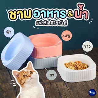 Royalty Pets ชามอาหารสำหรับสัตว์เลี้ยง C1 ชามอาหารแมว ชามอาหารสุนัข ถ้วยน้ำ ชามอาหารหมา RY113