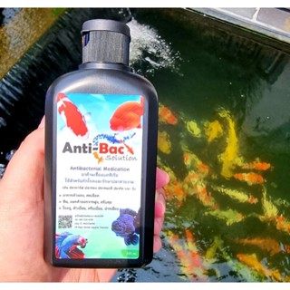 Anti-Bac Solution 250 ml.