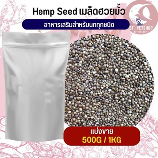 hemp seed ฮวย มั้ว  ธัญพืชสำหรับนก เม็ดขนาดกลาง-ใหญ่ (แบ่งขาย 500G / 1KG)